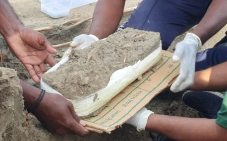 චෙම්මනී සමූහ මිනී වළ – බිළිඳෙකුගේ ඇටසැකිල්ලක්! බහුතරය නිහඬයි! අද පොහොය, අපි නිහඬව පංසල් යමු!