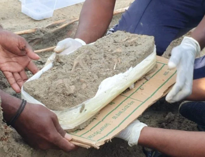 චෙම්මනී සමූහ මිනී වළ – බිළිඳෙකුගේ ඇටසැකිල්ලක්! බහුතරය නිහඬයි! අද පොහොය, අපි නිහඬව පංසල් යමු!