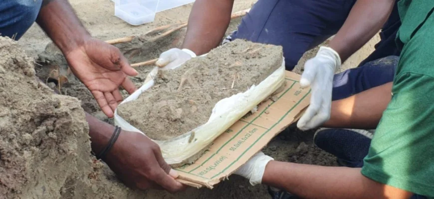 චෙම්මනී සමූහ මිනී වළ – බිළිඳෙකුගේ ඇටසැකිල්ලක්! බහුතරය නිහඬයි! අද පොහොය, අපි නිහඬව පංසල් යමු!